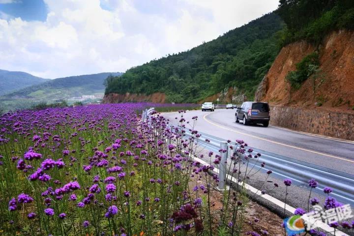 微信图片_20220207171834.jpg 微信图片_20220207171834.jpg