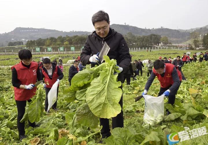 微信图片_20220216170023.jpg 微信图片_20220216170023.jpg