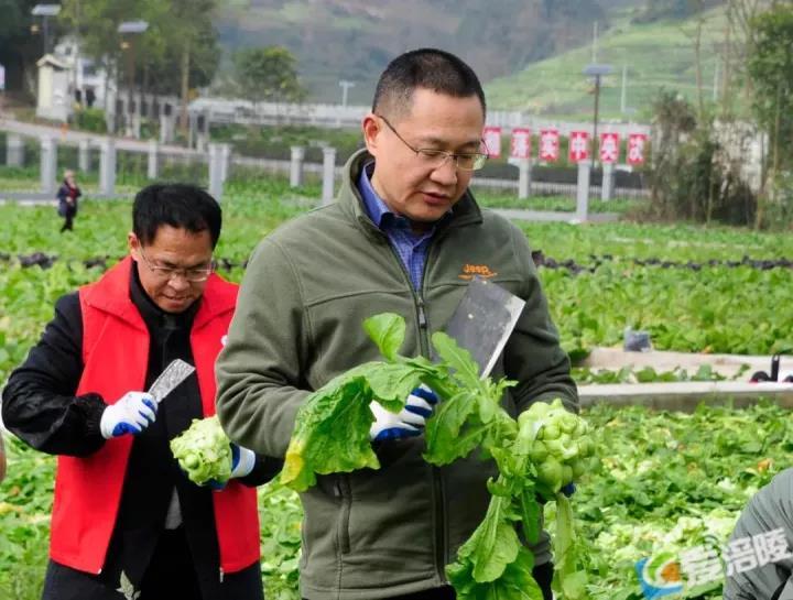 微信图片_20220216170027.jpg 微信图片_20220216170027.jpg