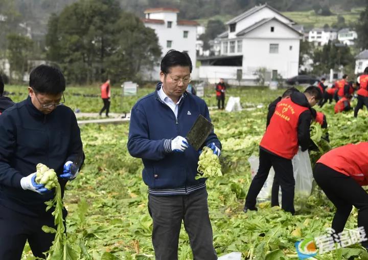 微信图片_20220216170047.jpg 微信图片_20220216170047.jpg