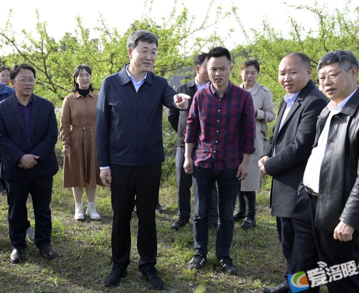 微信图片_20220407095739.png 微信图片_20220407095739.png