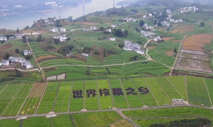 微信图片_20220526194626.png 微信图片_20220526194626.png