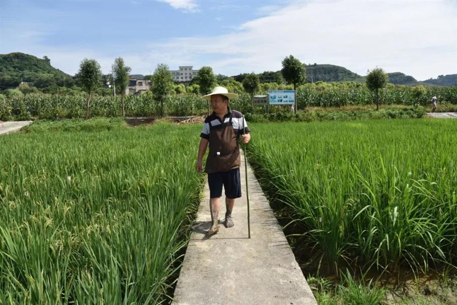 微信图片_20220807215555.jpg 微信图片_20220807215555.jpg