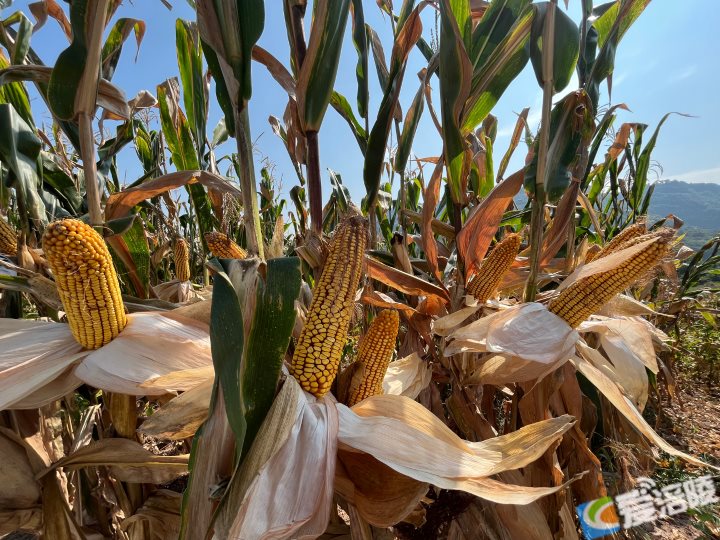 640 (56).png 640 (56).png