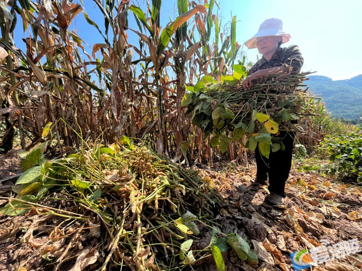 640 (57).png 640 (57).png