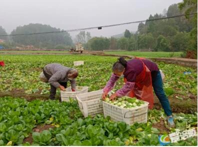 QQ截图20221128145544.jpg QQ截图20221128145544.jpg