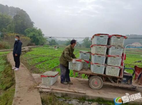 QQ截图20221128145558.jpg QQ截图20221128145558.jpg