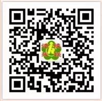 JLy6n9Hx_4x5V.png JLy6n9Hx_4x5V.png