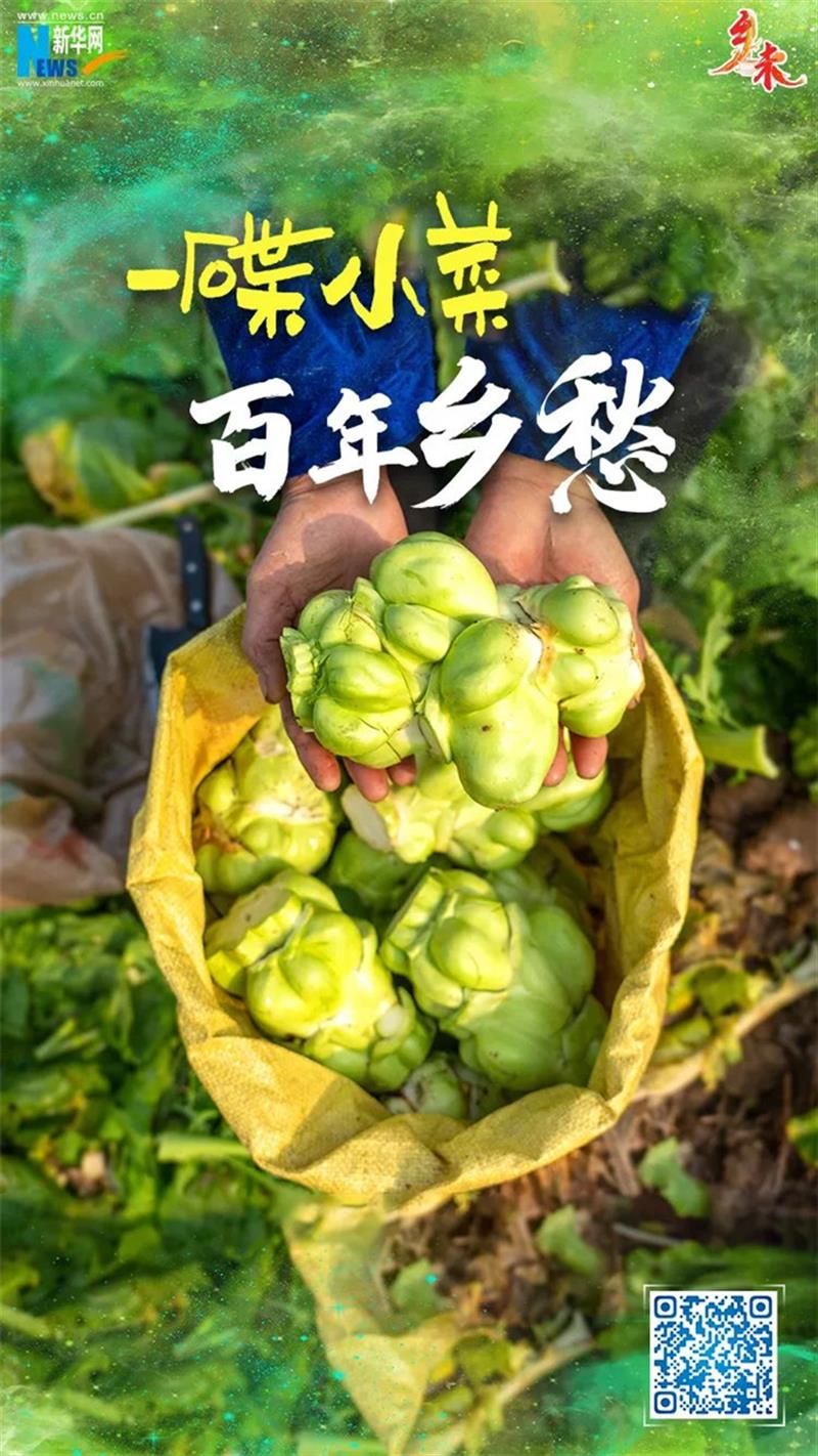 微信图片_20230201145409.png 微信图片_20230201145409.png