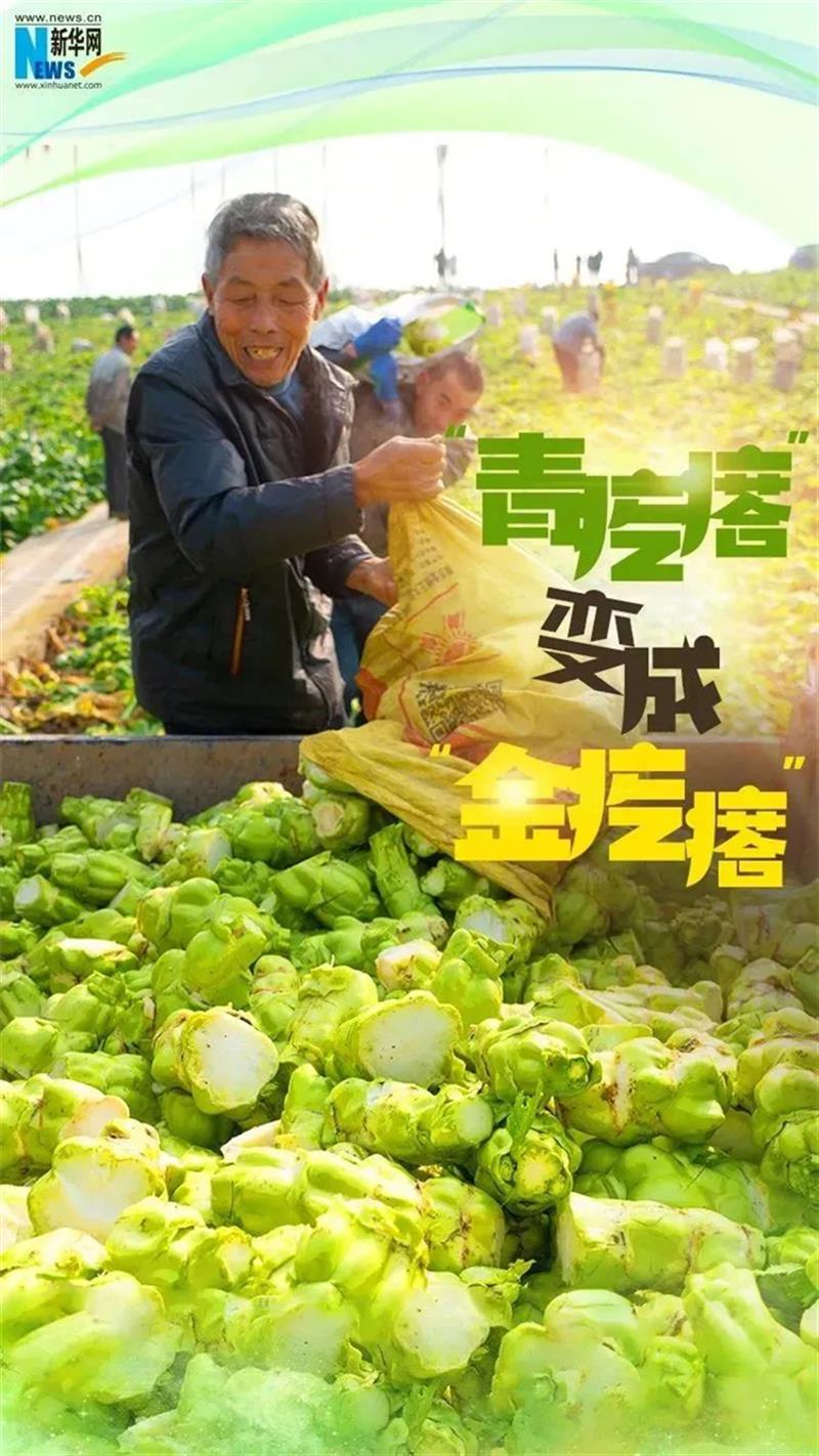 微信图片_20230201145424.png 微信图片_20230201145424.png