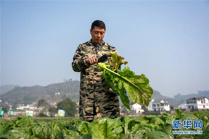 微信图片_20230201145513.png 微信图片_20230201145513.png