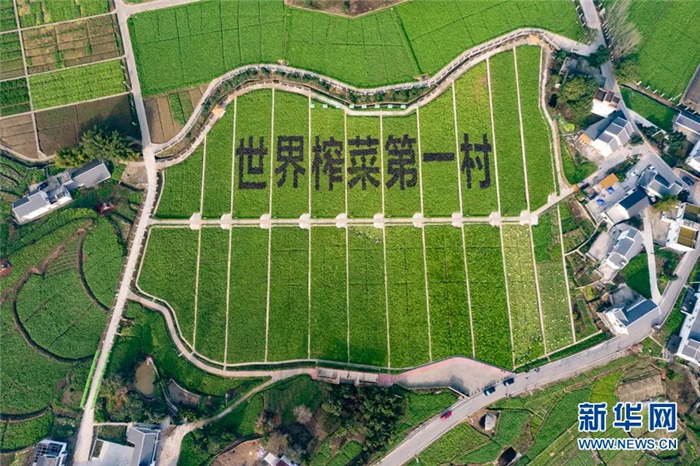 微信图片_20230201145528.png 微信图片_20230201145528.png