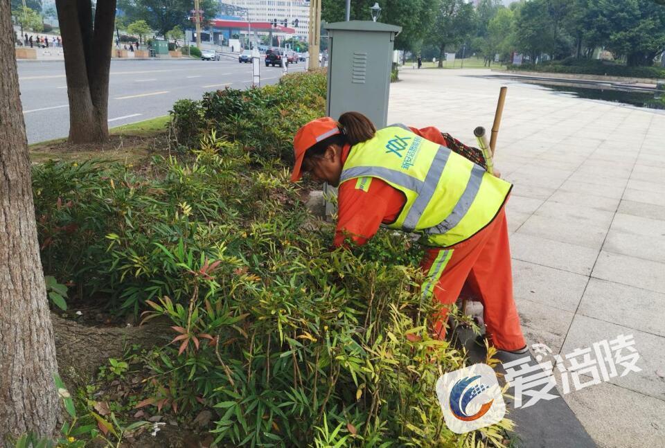 640 (3).jpg 640 (3).jpg