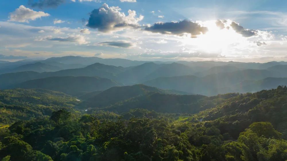 微信图片_20240105094349.jpg 微信图片_20240105094349.jpg