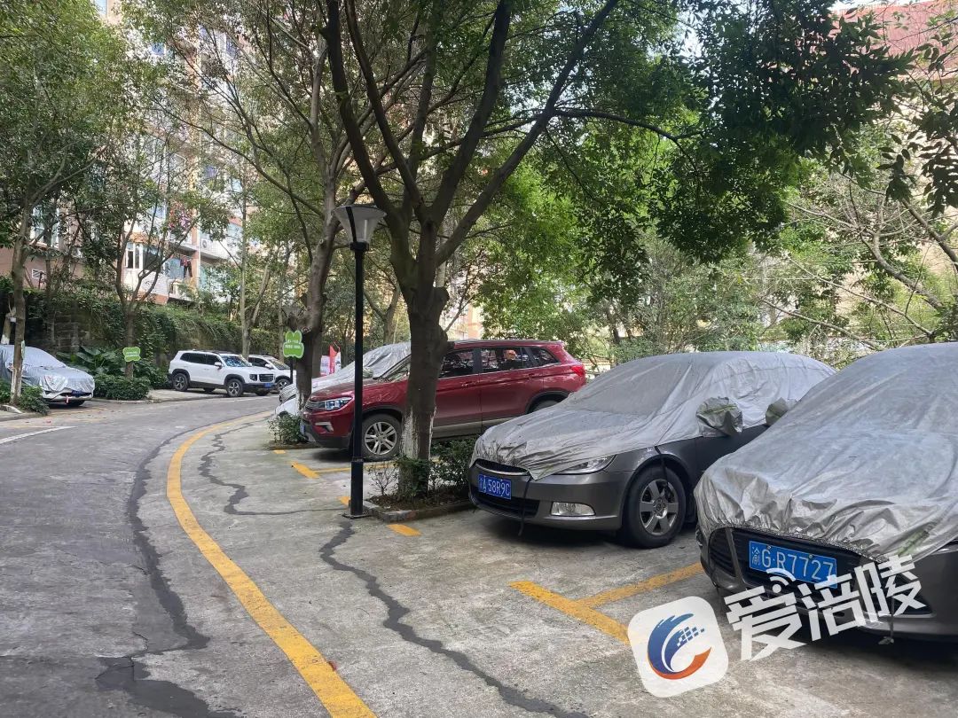 微信图片_20240415090346.jpg 微信图片_20240415090346.jpg