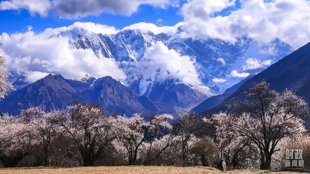 微信图片_20240425083657.jpg 微信图片_20240425083657.jpg