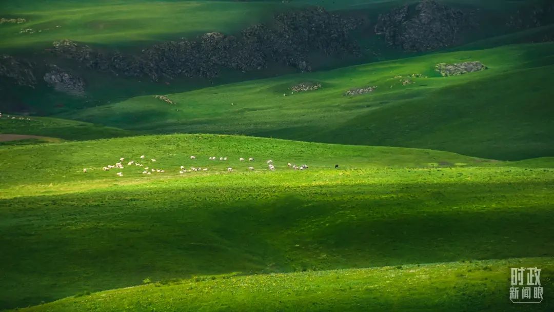 微信图片_20240425083702.jpg 微信图片_20240425083702.jpg