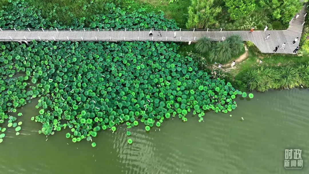 微信图片_20240425083706.jpg 微信图片_20240425083706.jpg