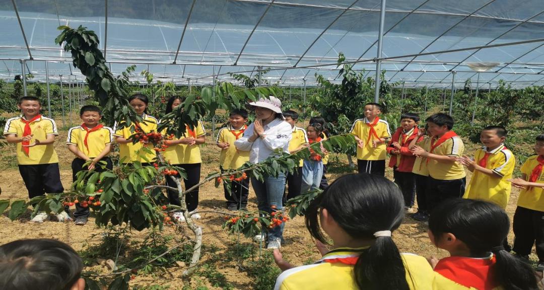 微信图片_20240523084420.png 微信图片_20240523084420.png