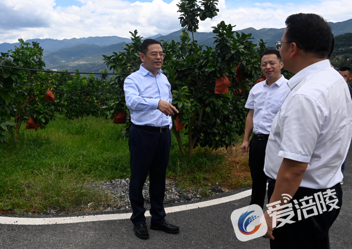 微信图片_20240807091304.png 微信图片_20240807091304.png