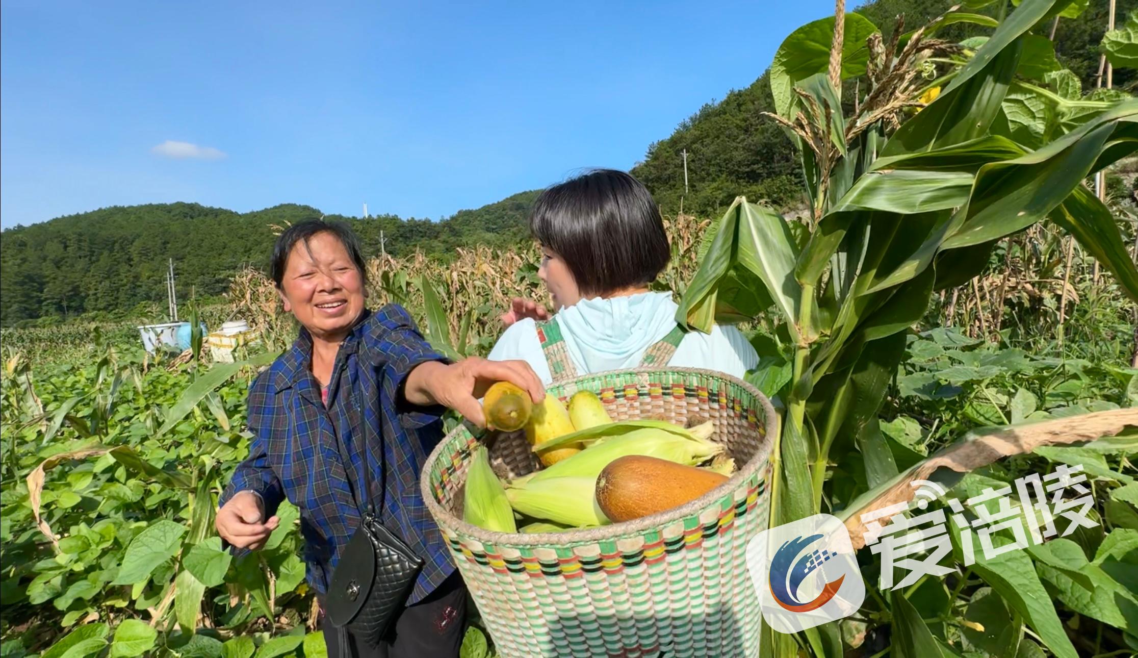 34c38b67864c5814bb4b60a756a1fc81b7baa7.jpg 34c38b67864c5814bb4b60a756a1fc81b7baa7.jpg