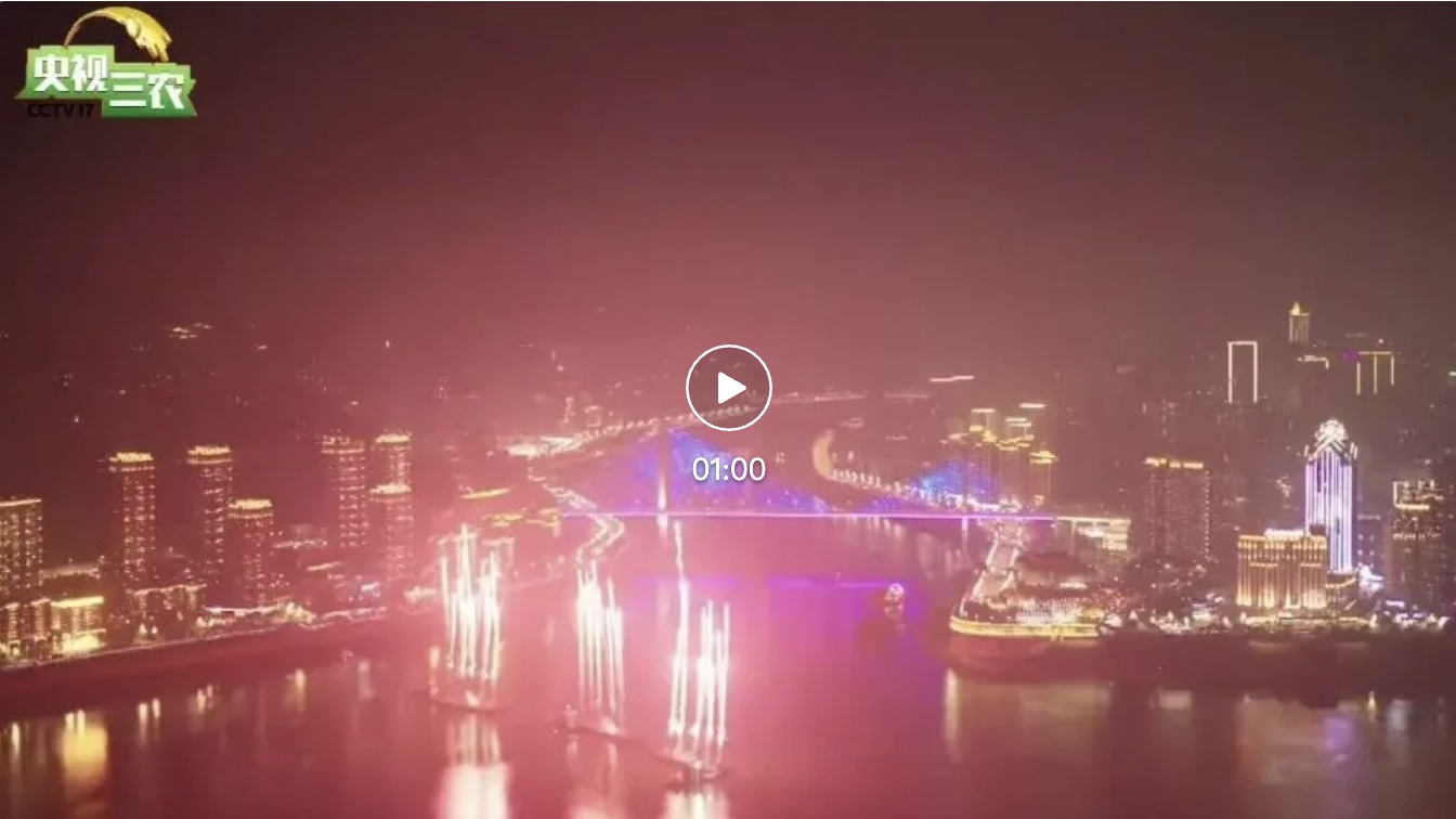 图像2025-1-26 13.18.jpeg