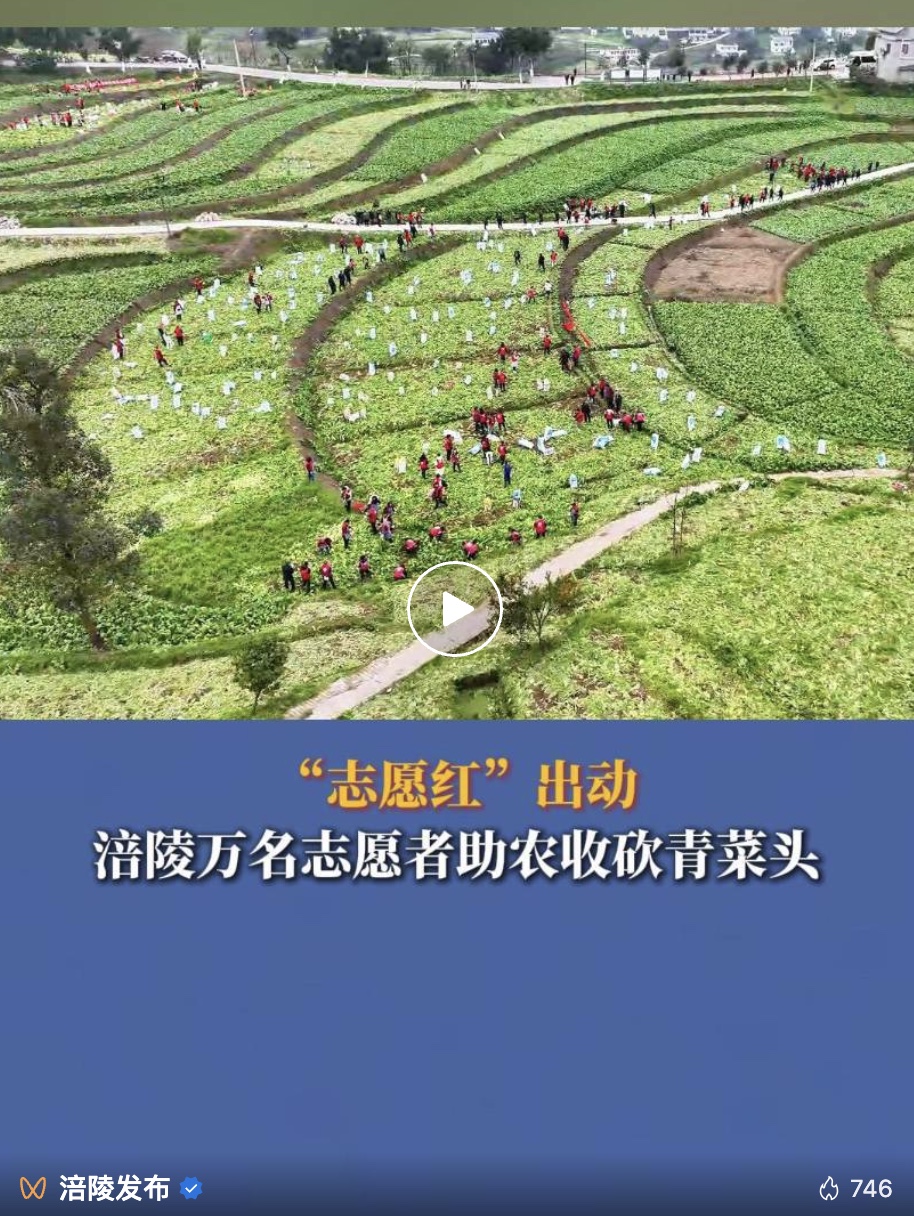 图像2025-2-12 09.11.jpeg