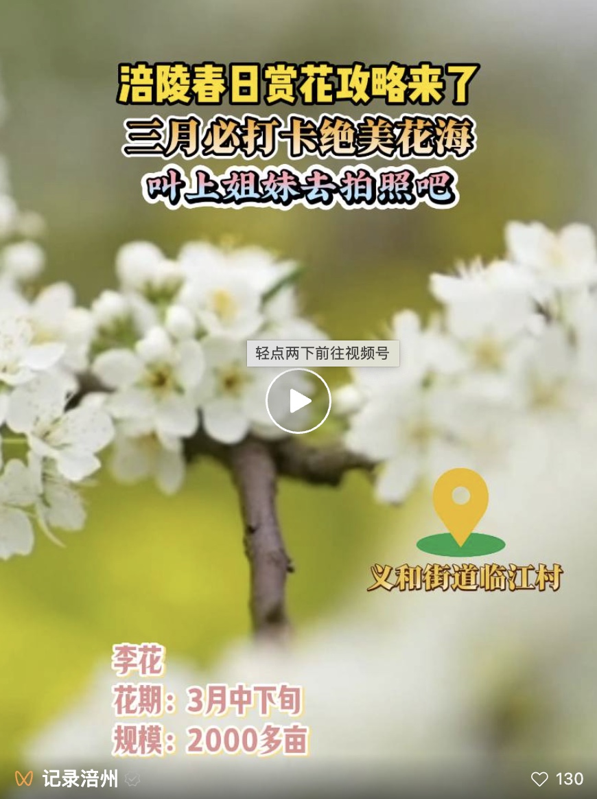 图像2025-3-14 13.57.jpeg