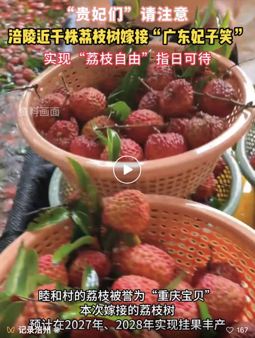 图像2025-4-12 00.00.jpeg