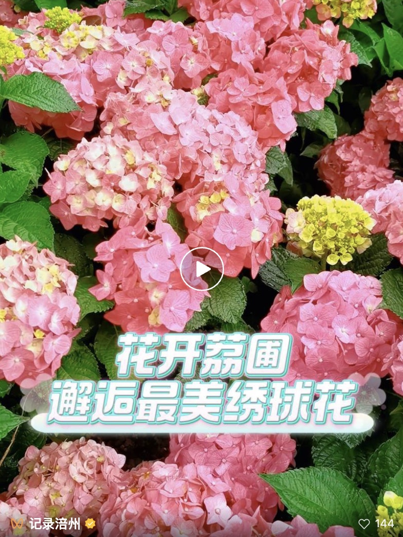 图像2025-5-21 09.13.jpeg