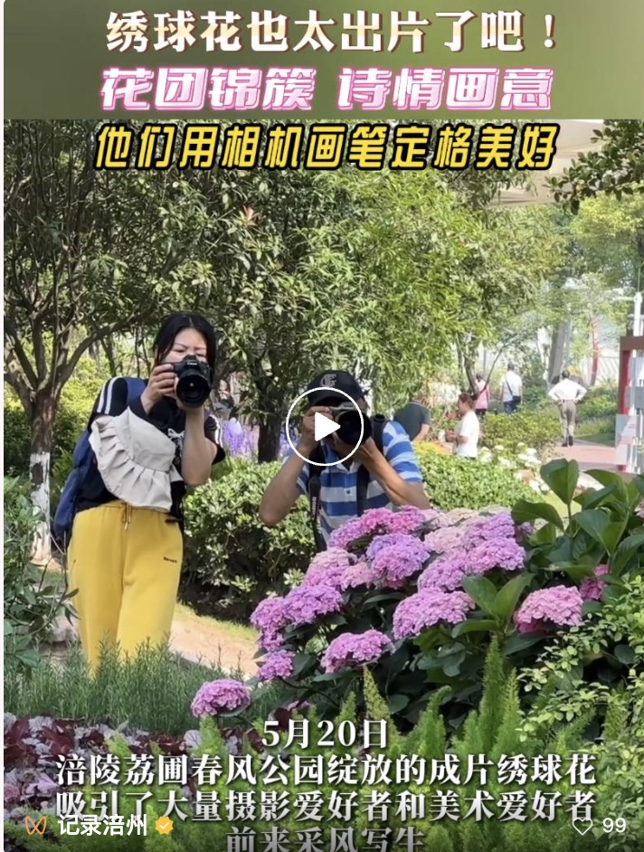 图像2025-5-23 09.52.jpeg