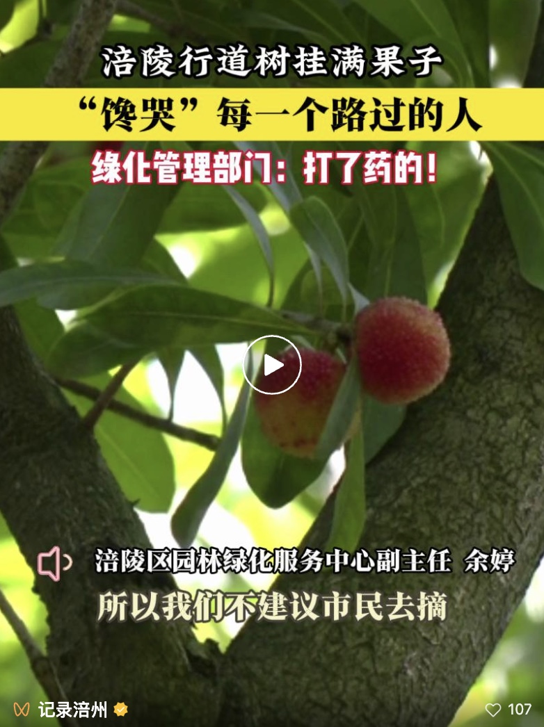 图像2025-6-6 08.45.jpeg