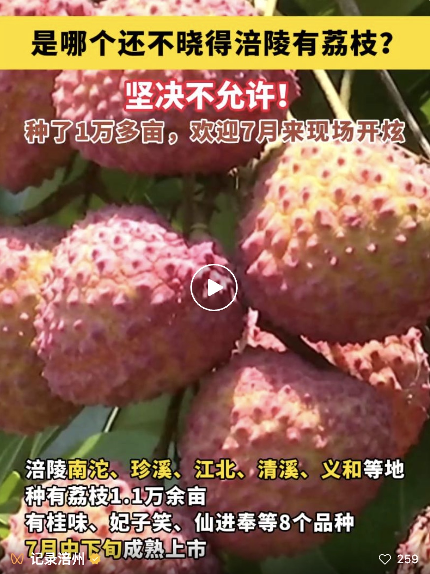 图像2025-6-27 19.35.jpeg