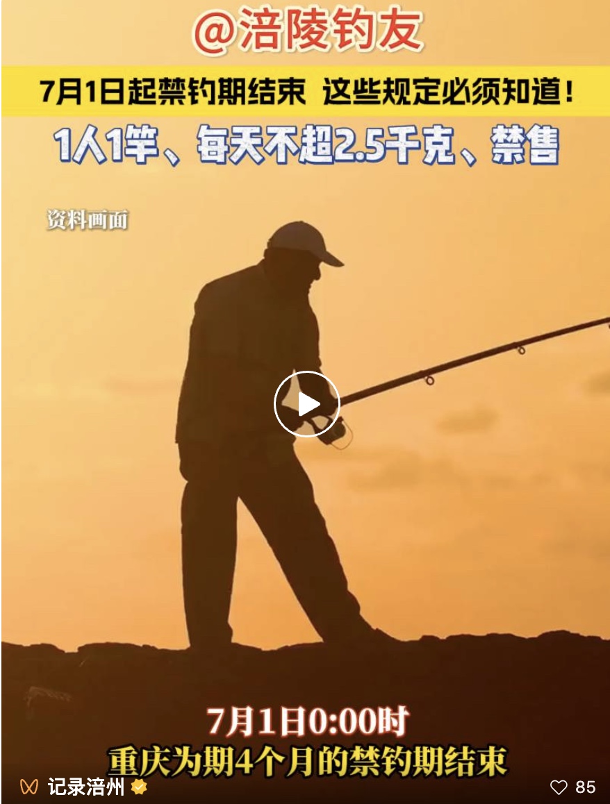 图像2025-7-3 09.48.jpeg