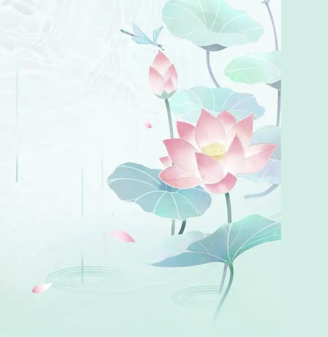 图像2025-7-15 10.06.jpeg