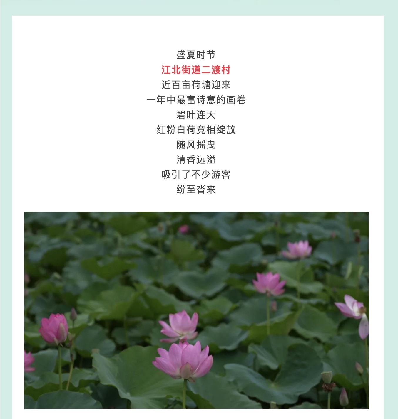 图像2025-7-15 10.06 (1).jpeg