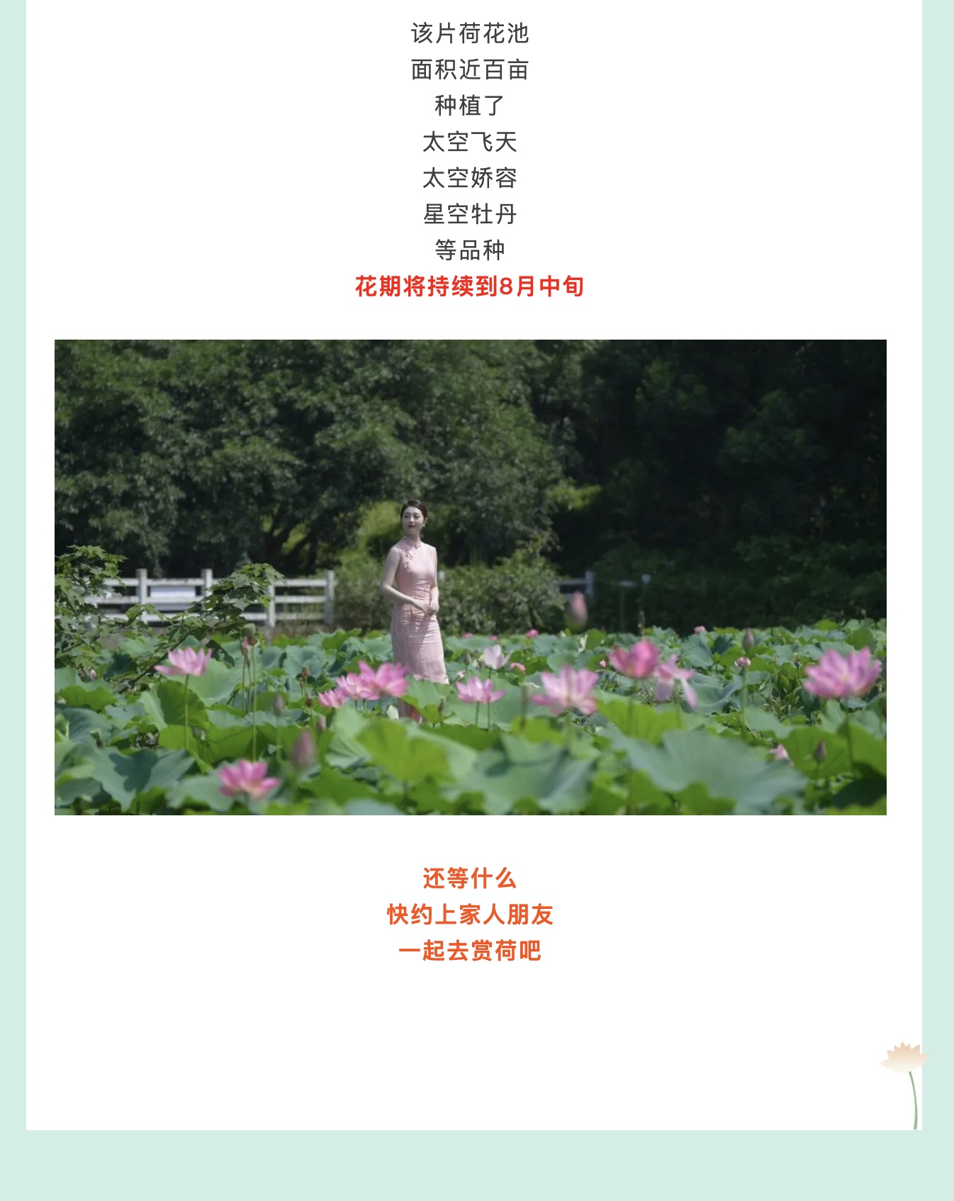 图像2025-7-15 10.07.jpeg