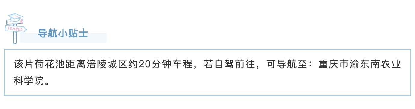 图像2025-7-15 10.07 (1).jpeg