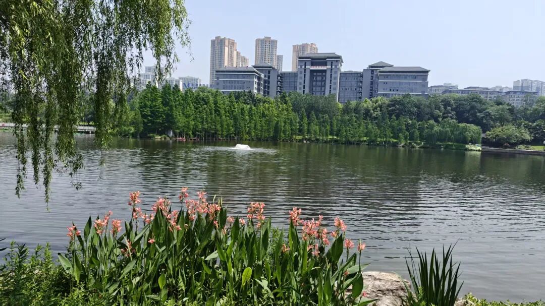 微信图片_2026-01-19_155032_342.jpg